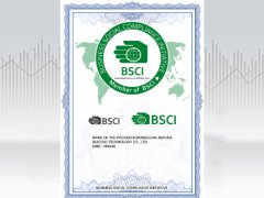 BSCI certificate